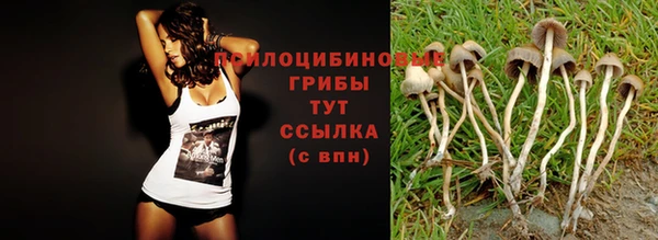 бошки Волосово